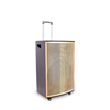 Nueva Llegada Bluetooths inalámbrico portátil trolley altavoz pa
