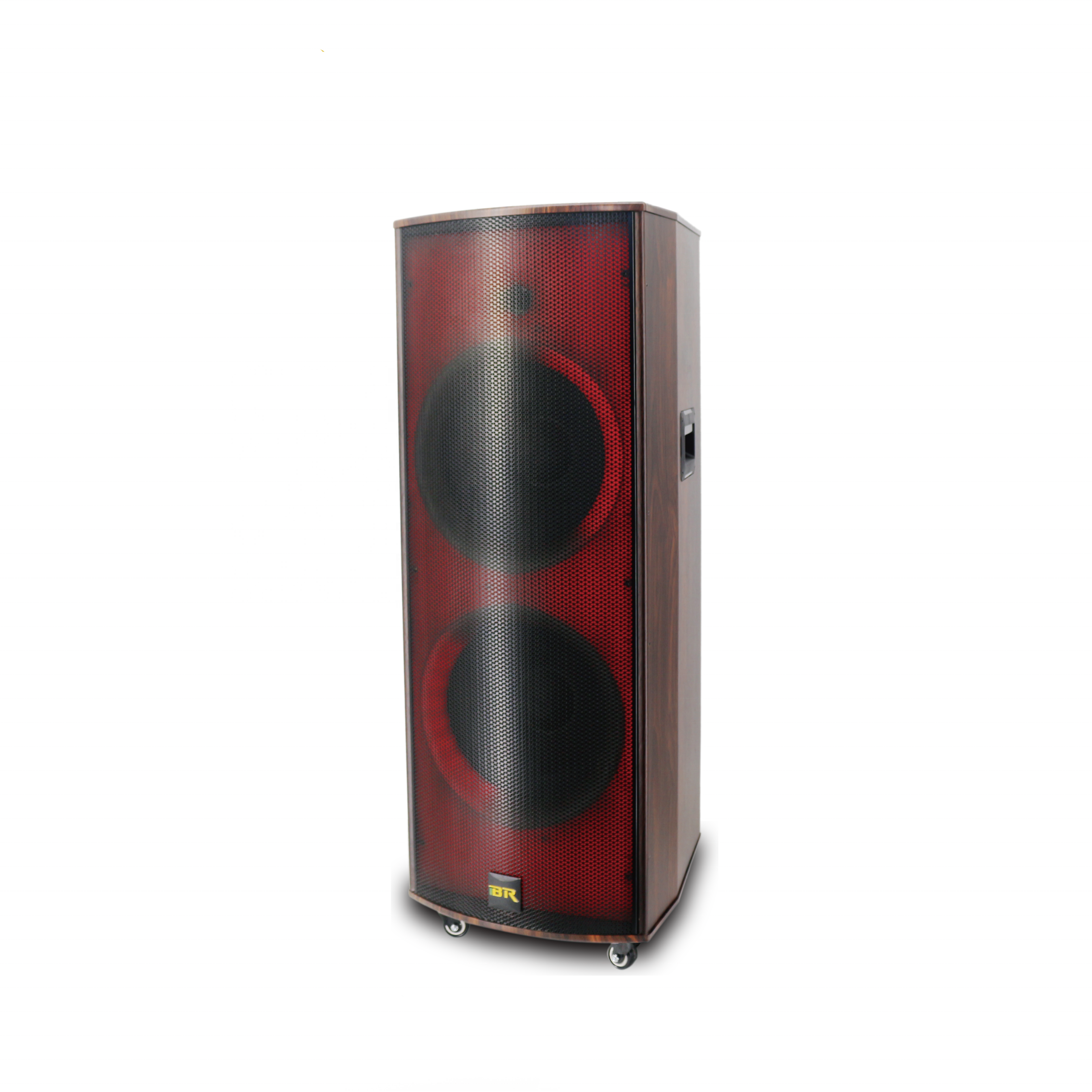 2020 Nuevo Diseño DUAL DUAL 12 pulgadas 80 vatios portátiles Portátil con luz de discoteca