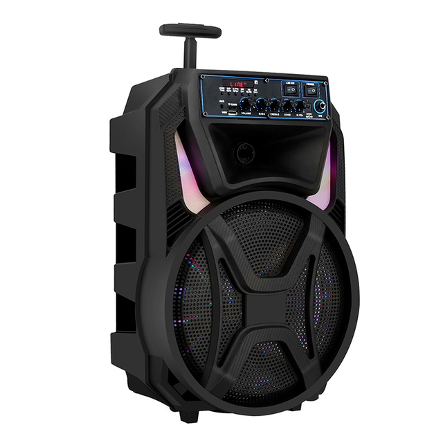 Altavoz portátil de plástico con luz LED reciclado barato colorido de 12 pulgadas