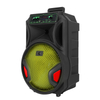 Altavoz Reproductor de audio portátil de 12 pulgadas Altavoz de carro PORTÁTIL inalámbrico de 12 pulgadas