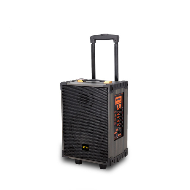 8 "Mezclador de audio Super Bass Active Speaker con carrito