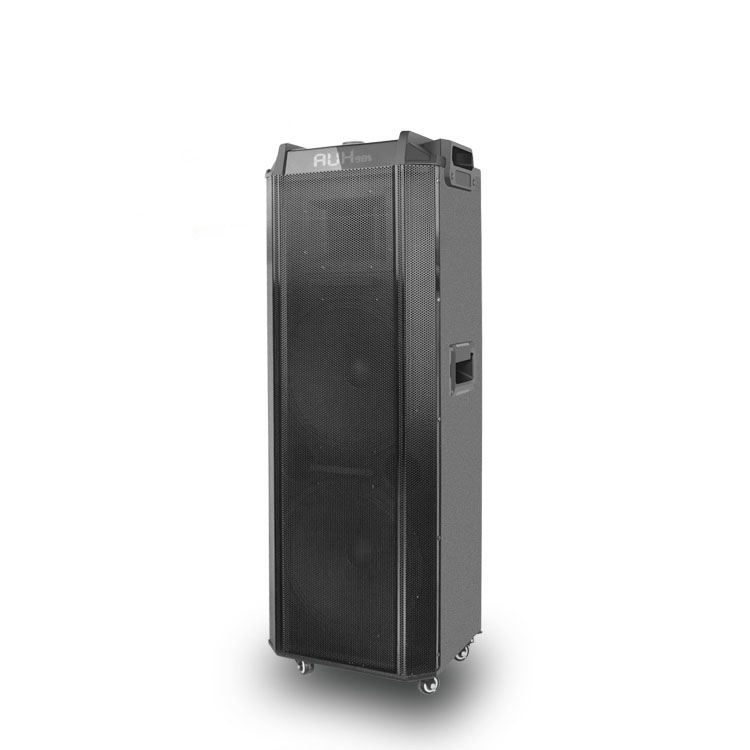 Sistemas de altavoces inalámbricos de 15 pulgadas Bluetooths inalámbricos