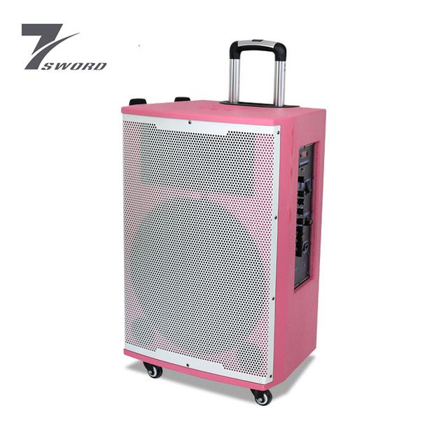Bluetooth inalámbrico recargable P audio 15 pulgadas altavoces Price