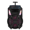 Precio barato de fábrica popular Altavoz de carro de karaoke para fiestas de 12 pulgadas 100w