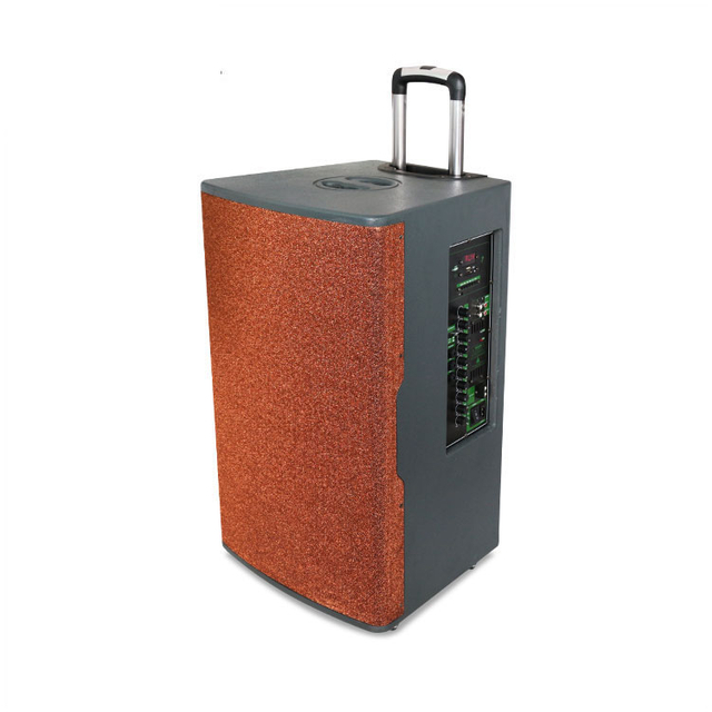 Nuevo Altavoz de la carretilla de madera de 15 pulgadas de 15 pulgadas de 200W para Plaza y Partido
