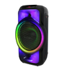 Diseño único Luz LED colorida Dual 8 pulgadas Bluetooth Bluetooth Karaoke Box de altavoz