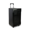 Super Bass Subwoofer Professional Hifi Audio Altavoz de graves de 15 pulgadas