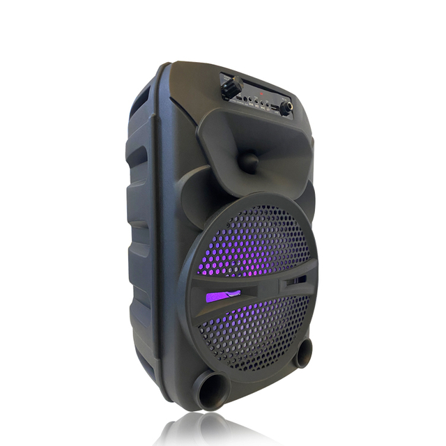 Altavoz inalámbrico de dos vías portátil con MIC de fábrica China QJ-T320